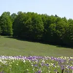 Domek letniskowy Villaggio Grechi Zagarise
