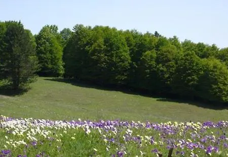 Lodge Villaggio Grechi Zagarise