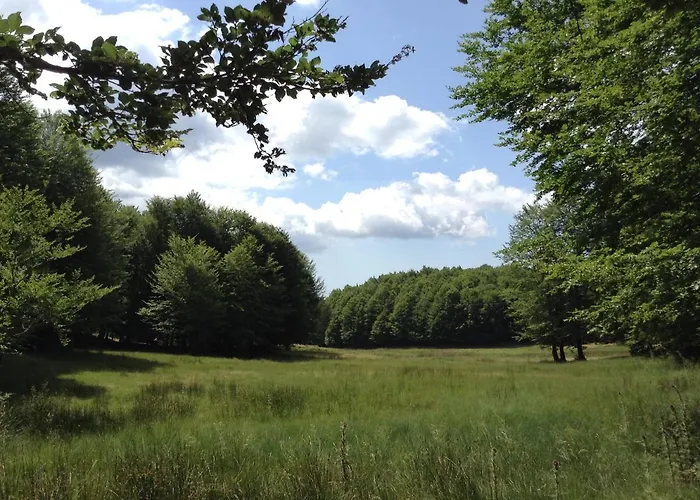 Lodge Villaggio Grechi *