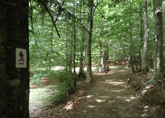 Villaggio Grechi Lodge Zagarise