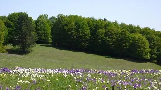 Lodge Villaggio Grechi Zagarise